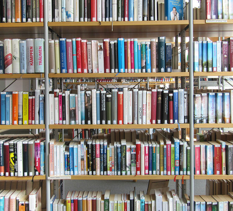 Voll bestücktes Bücherregal in heller Bibliothek.